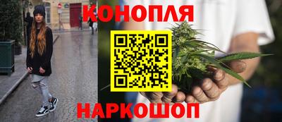 герыч Кингисепп
