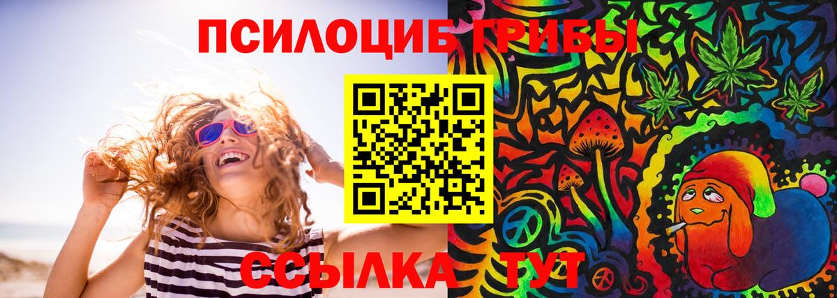 купить наркотики сайты  Псилоцибиновые грибы GOLDEN TEACHER  Вход с VPN  Чусовой 